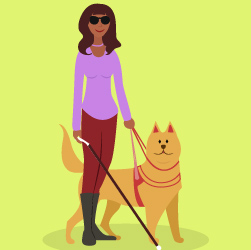 Curso Online Deficiencia Visual