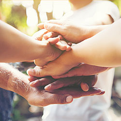 Direitos Humanos Cursos