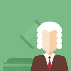 Curso Online Direito Constitucional