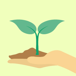 Agroecologia Curso Online