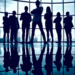 Marketing Multinivel Curso Online