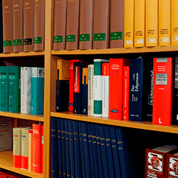 Especializacao Areas Do Direito