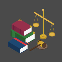 Artigo 5 Inciso XXXIII