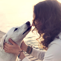 Ansiedade De Separacao Em Caes
