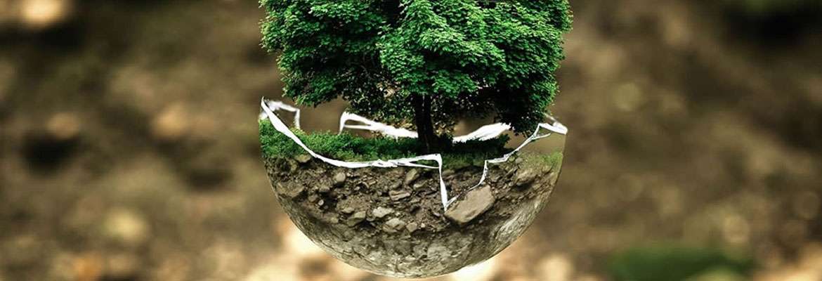 Programa de Prevenção de Riscos Ambientais