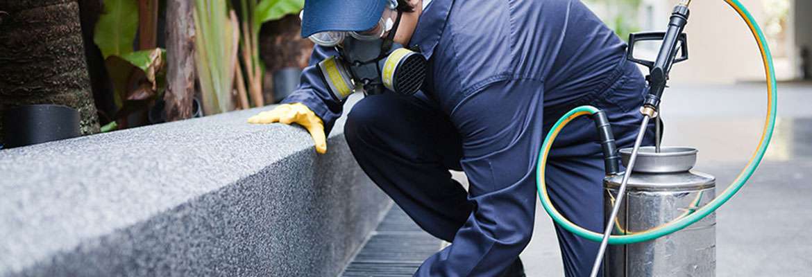 Controle Integrado de Pragas