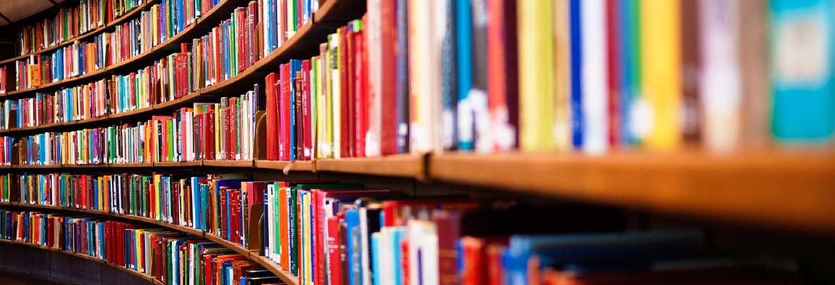 Auxiliar de Biblioteca