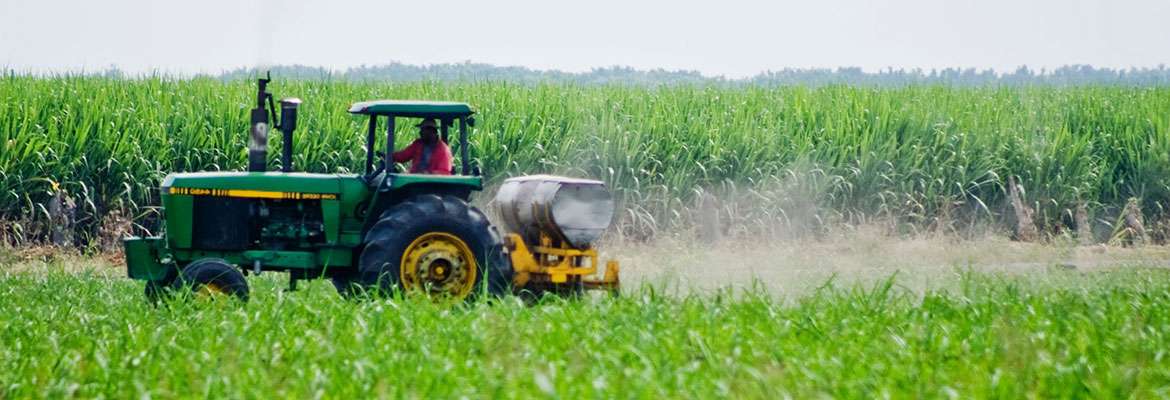 Técnicas de agroindústria: Derivados do Leite e Vegetais 