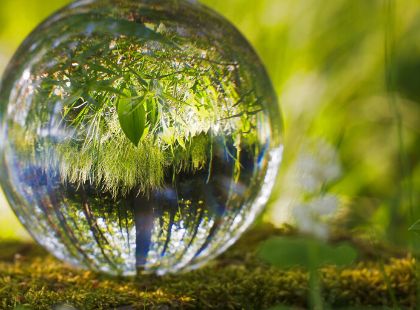 Gestão de Meio Ambiente