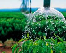 Reuso de Água na Agricultura Irrigada