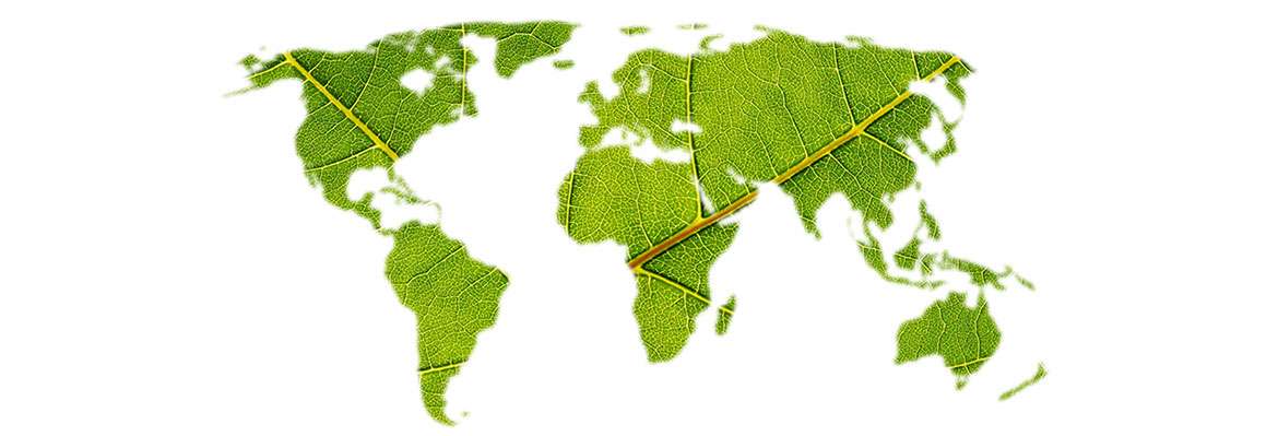 Política e Gestão Ambiental - Noções