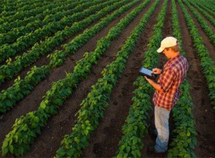 Gestão de Agronegócios