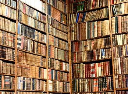 Auxiliar de Biblioteca