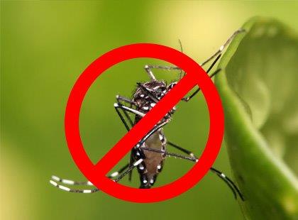 Capacitação no combate a Dengue