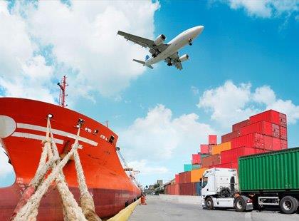 Importação: Rotinas e Procedimentos