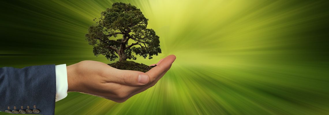 Gestão de Meio Ambiente