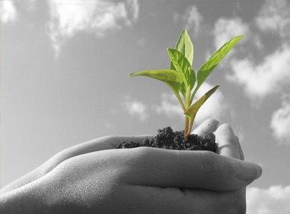 Auditoria e Perícia Ambiental - Fundamentos Essenciais