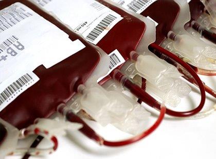 Qualidade e Eficiência na Coleta de Sangue - Noções Gerais